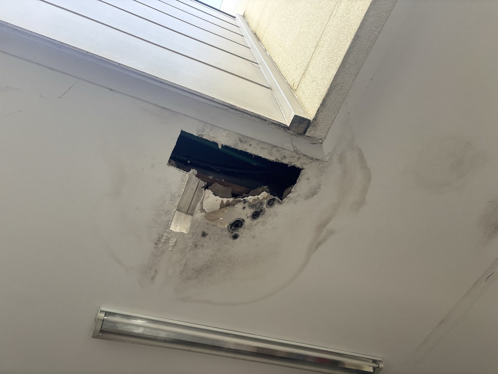 Ceiling opening and moisture marking inspected during leak detection in Coburg North