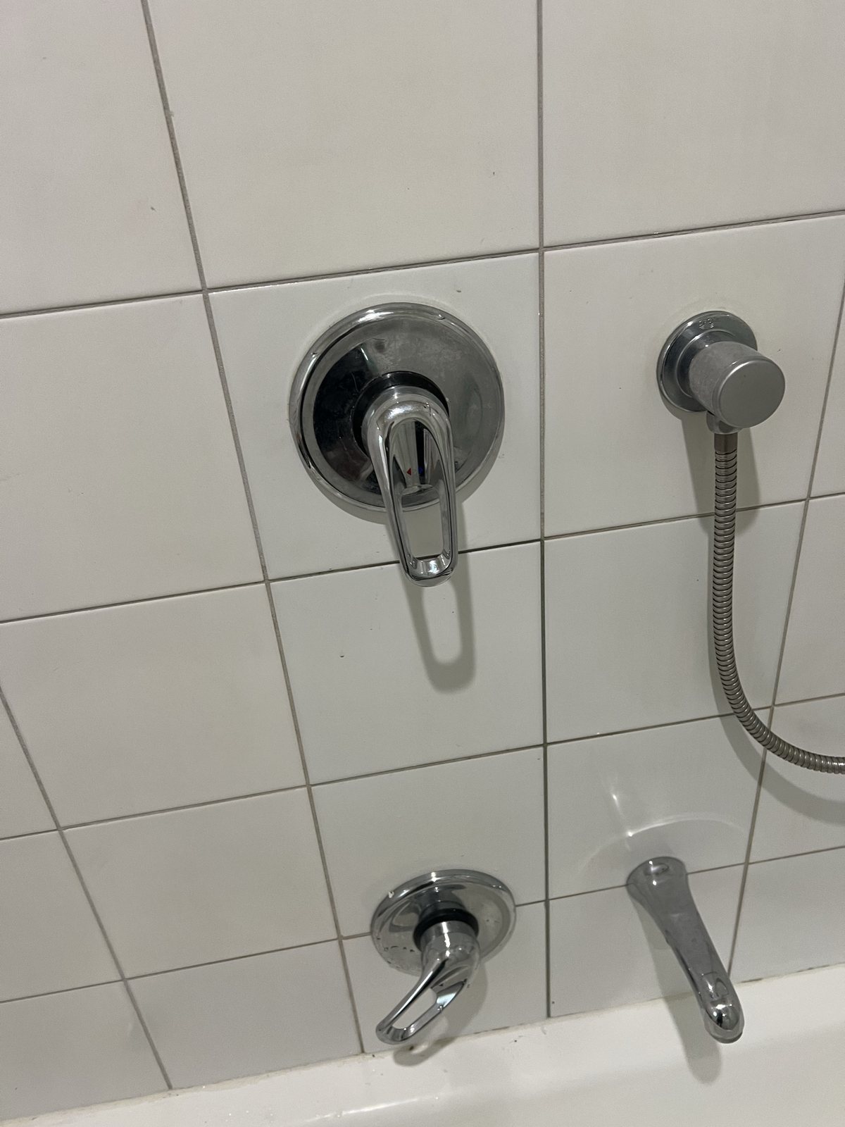 Leaking shower mixer before repair work in Pascoe Vale South